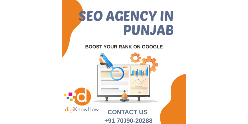 Best SEO Agency in Ludhiana, Punjab: DigiKnowHow