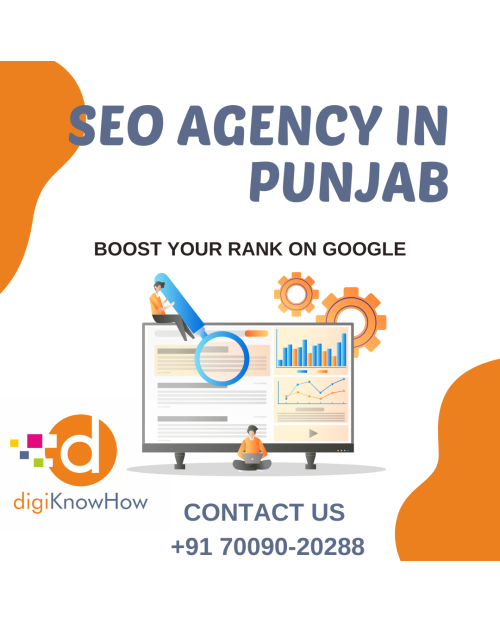 SEO agency in Ludhiana Punjab