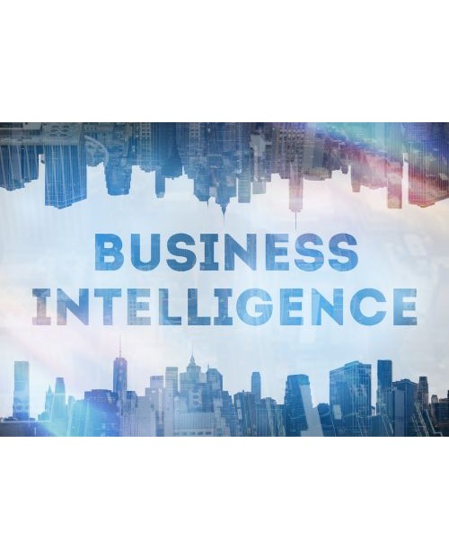 Business Intelligence